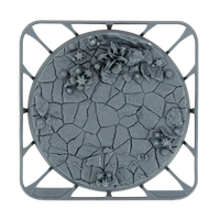 Socle 100 mm Drylands — grappe résine